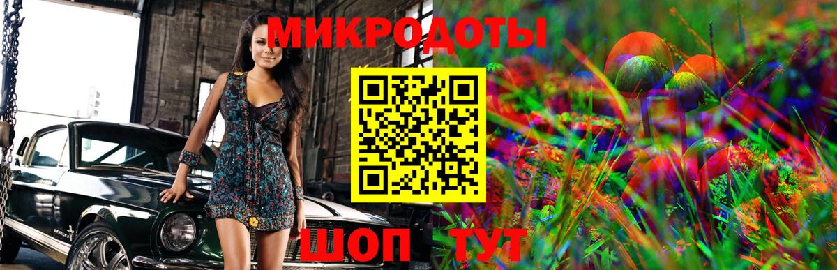 Псилоцибиновые грибы Psilocybine cubensis Нальчик