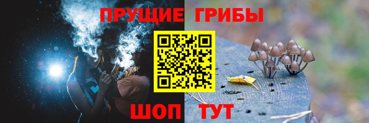 Псилоцибиновые грибы мухоморы  Вход с VPN  Нальчик 